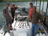 (05/15/2015) - Nice Striped Bass